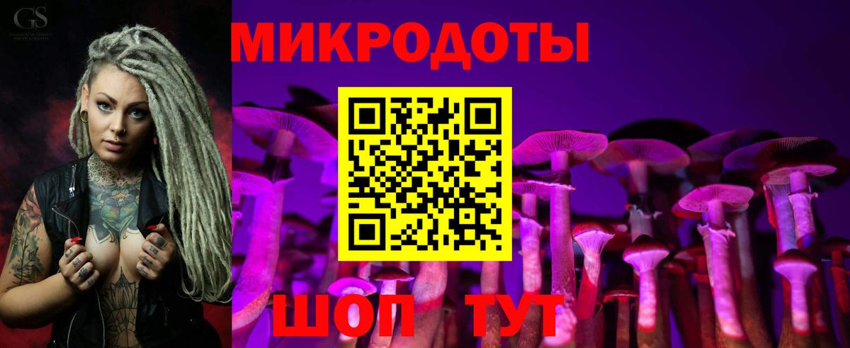 Галлюциногенные грибы мухоморы  Галлюциногенные грибы Psilocybe  Вход с VPN  Фрязино 
